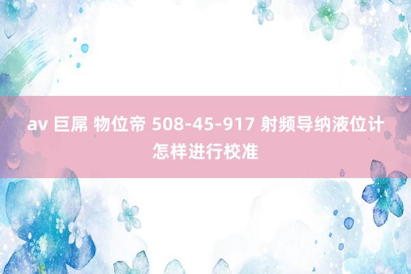 av 巨屌 物位帝 508-45-917 射频导纳液位计怎样进行校准