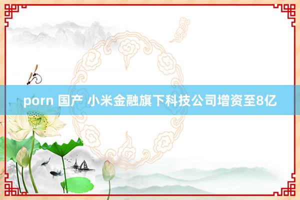 porn 国产 小米金融旗下科技公司增资至8亿