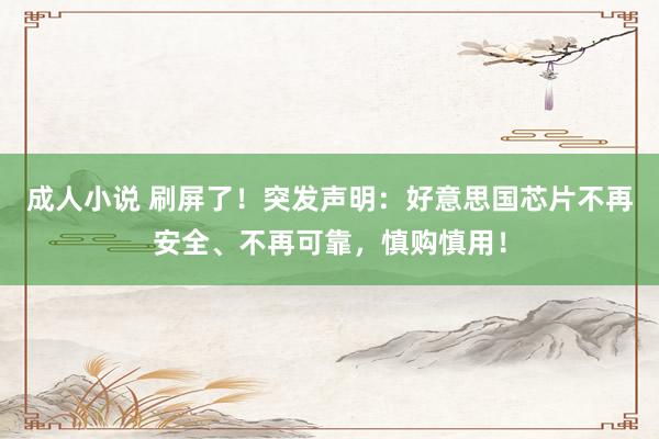 成人小说 刷屏了！突发声明：好意思国芯片不再安全、不再可靠，慎购慎用！