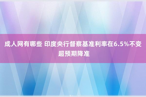 成人网有哪些 印度央行督察基准利率在6.5%不变 超预期降准