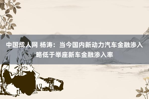 中国成人网 杨涛：当今国内新动力汽车金融渗入略低于举座新车金融渗入率