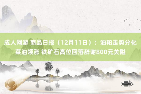 成人网游 商品日报（12月11日）：油粕走势分化菜油领涨 铁矿石高位回落辞谢800元关隘