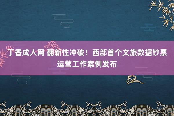 丁香成人网 翻新性冲破！西部首个文旅数据钞票运营工作案例发布