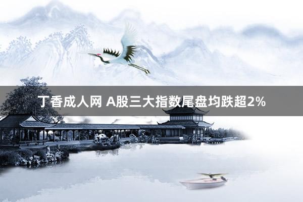 丁香成人网 A股三大指数尾盘均跌超2%