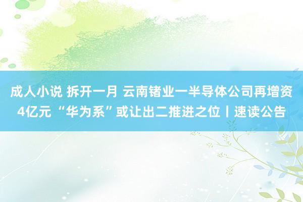 成人小说 拆开一月 云南锗业一半导体公司再增资4亿元 “华为系”或让出二推进之位丨速读公告