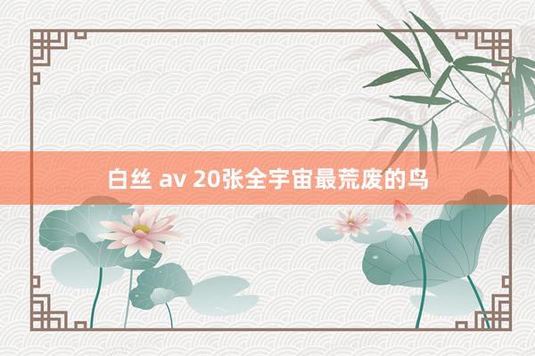 白丝 av 20张全宇宙最荒废的鸟
