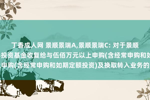 丁香成人网 景顺景瑞A,景顺景瑞C: 对于景顺长城景瑞收益债券型证券投资基金收复给与伍佰万元以上申购(含经常申购和如期定额投资)及换取转入业务的公告