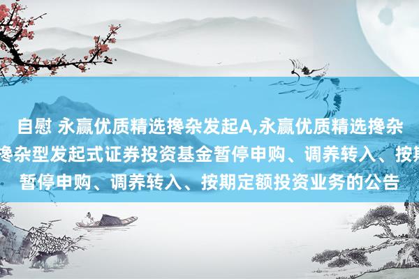 自慰 永赢优质精选搀杂发起A,永赢优质精选搀杂发起C: 永赢优质精选搀杂型发起式证券投资基金暂停申购、调养转入、按期定额投资业务的公告