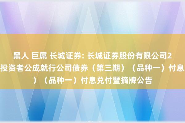 黑人 巨屌 长城证券: 长城证券股份有限公司2022年面向专科投资者公成就行公司债券(第三期)(品种一)付息兑付暨摘牌公告