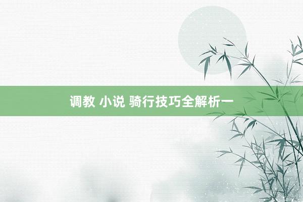 调教 小说 骑行技巧全解析一