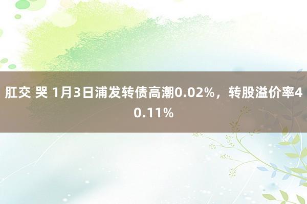 肛交 哭 1月3日浦发转债高潮0.02%,转股溢价率40.11%