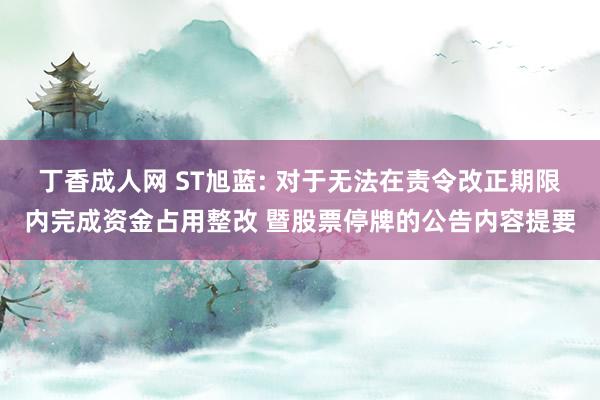 丁香成人网 ST旭蓝: 对于无法在责令改正期限内完成资金占用整改 暨股票停牌的公告内容提要