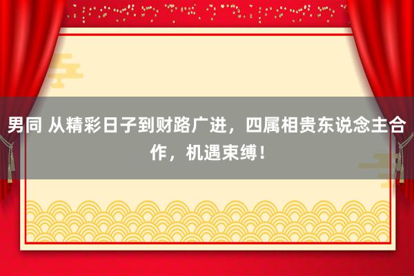 男同 从精彩日子到财路广进，四属相贵东说念主合作，机遇束缚！