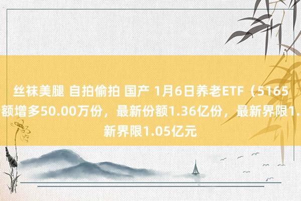 丝袜美腿 自拍偷拍 国产 1月6日养老ETF（516560）份额增多50.00万份，最新份额1.36亿份，最新界限1.05亿元