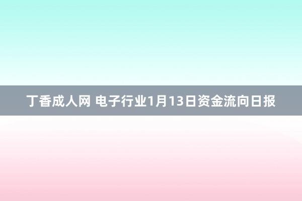 丁香成人网 电子行业1月13日资金流向日报
