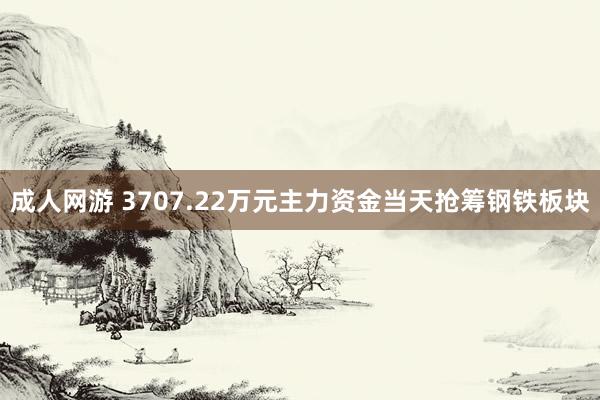 成人网游 3707.22万元主力资金当天抢筹钢铁板块