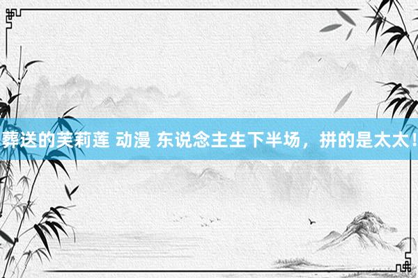 葬送的芙莉莲 动漫 东说念主生下半场，拼的是太太！