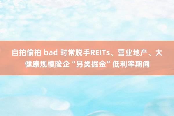 自拍偷拍 bad 时常脱手REITs、营业地产、大健康规模险企“另类掘金”低利率期间