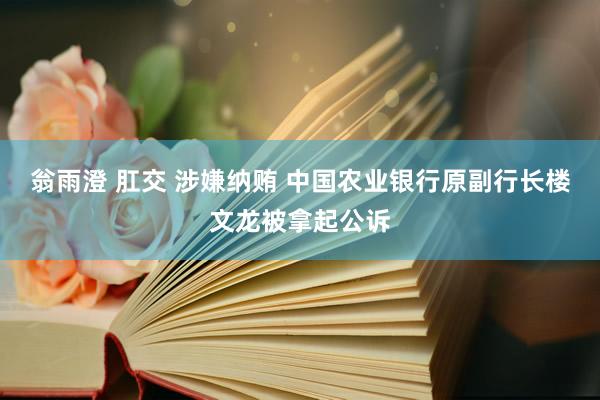 翁雨澄 肛交 涉嫌纳贿 中国农业银行原副行长楼文龙被拿起公诉