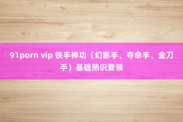 91porn vip 铁手神功（幻影手、夺命手、金刀手）基础熟识要领