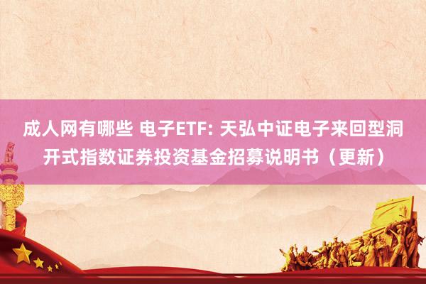 成人网有哪些 电子ETF: 天弘中证电子来回型洞开式指数证券投资基金招募说明书(更新)