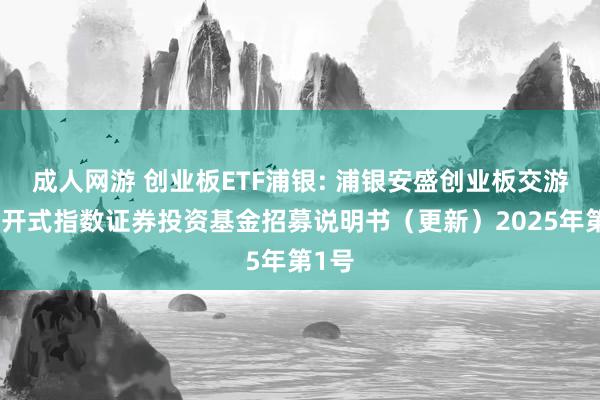 成人网游 创业板ETF浦银: 浦银安盛创业板交游型绽开式指数证券投资基金招募说明书(更新)2025年第1号