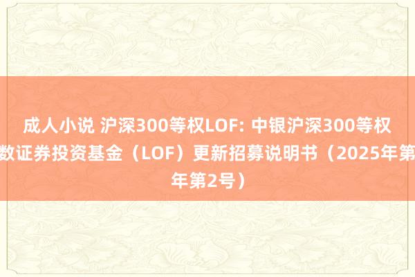 成人小说 沪深300等权LOF: 中银沪深300等权重指数证券投资基金(LOF)更新招募说明书(2025年第2号)