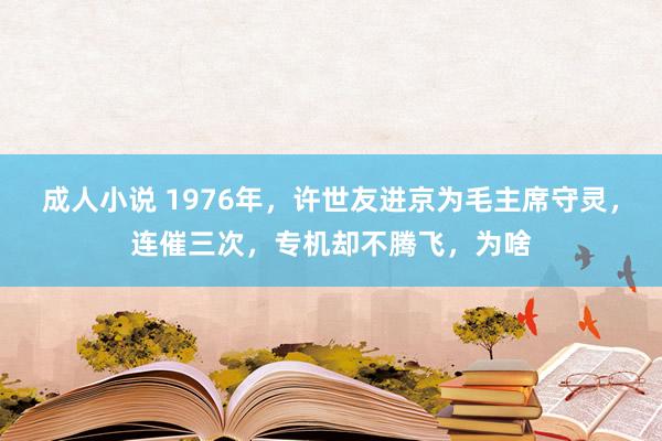 成人小说 1976年，许世友进京为毛主席守灵，连催三次，专机却不腾飞，为啥