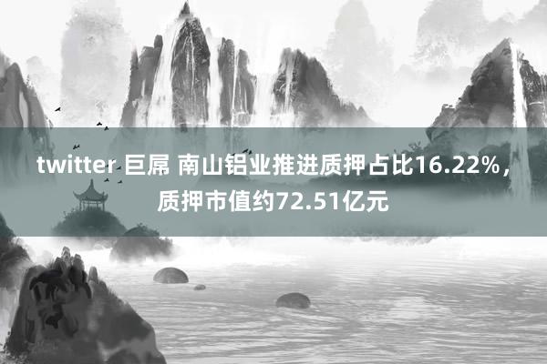 twitter 巨屌 南山铝业推进质押占比16.22%，质押市值约72.51亿元