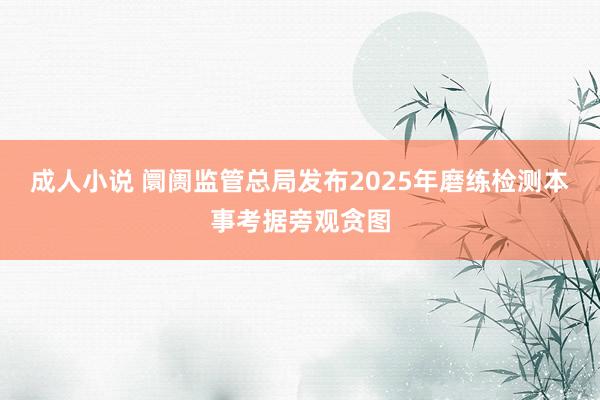 成人小说 阛阓监管总局发布2025年磨练检测本事考据旁观贪图
