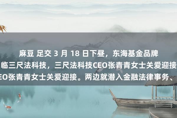 麻豆 足交 3 月 18 日下昼，东海基金品牌宣传厚爱东谈主封琳琳驾临三尺法科技，三尺法科技CEO张青青女士关爱迎接。两边就潜入金融法律事务、投