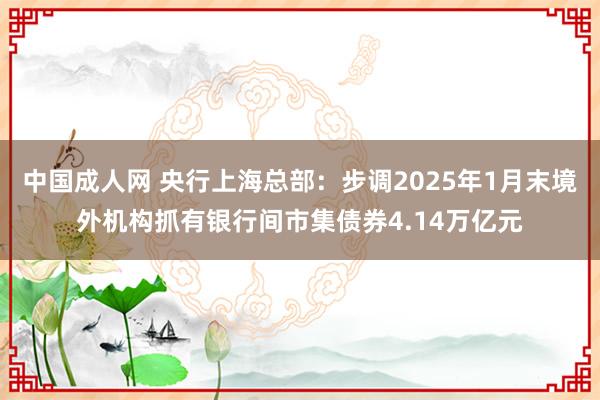 中国成人网 央行上海总部：步调2025年1月末境外机构抓有银行间市集债券4.14万亿元