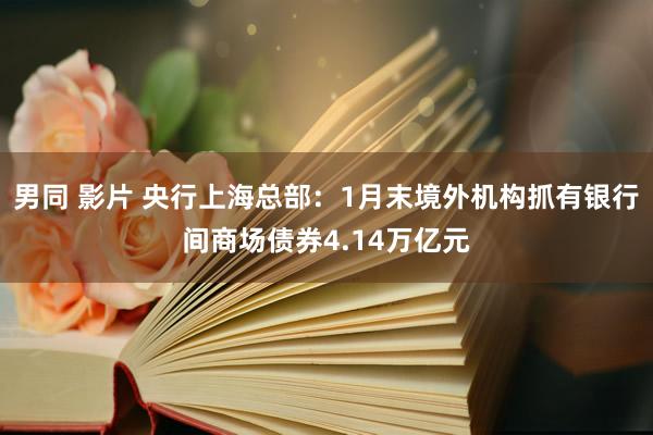 男同 影片 央行上海总部：1月末境外机构抓有银行间商场债券4.14万亿元