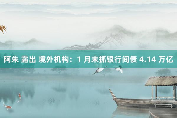 阿朱 露出 境外机构：1 月末抓银行间债 4.14 万亿