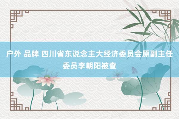 户外 品牌 四川省东说念主大经济委员会原副主任委员李朝阳被查