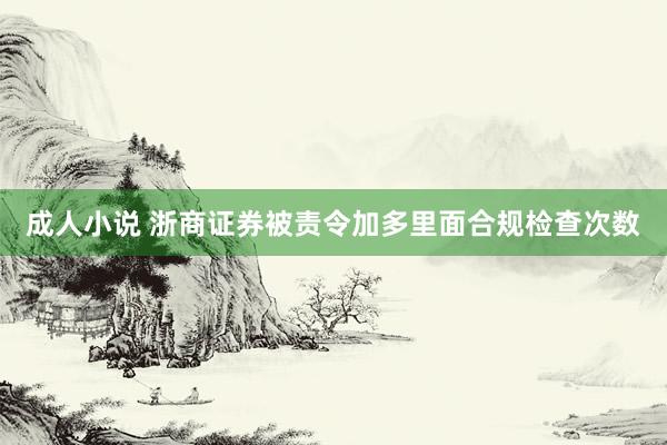 成人小说 浙商证券被责令加多里面合规检查次数