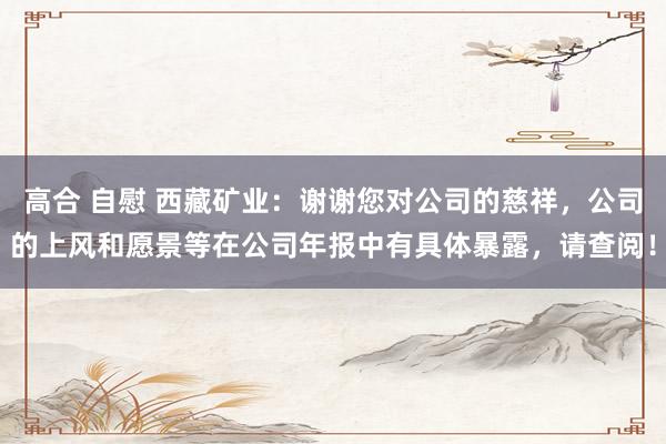 高合 自慰 西藏矿业：谢谢您对公司的慈祥，公司的上风和愿景等在公司年报中有具体暴露，请查阅！
