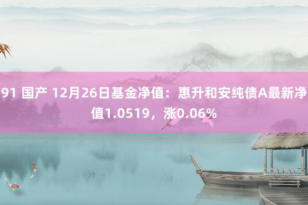 91 国产 12月26日基金净值：惠升和安纯债A最新净值1.0519，涨0.06%