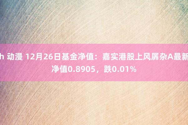 h 动漫 12月26日基金净值：嘉实港股上风羼杂A最新净值0.8905，跌0.01%