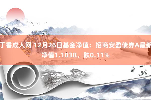 丁香成人网 12月26日基金净值：招商安盈债券A最新净值1.1038，跌0.11%