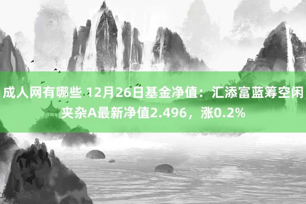 成人网有哪些 12月26日基金净值：汇添富蓝筹空闲夹杂A最新净值2.496，涨0.2%