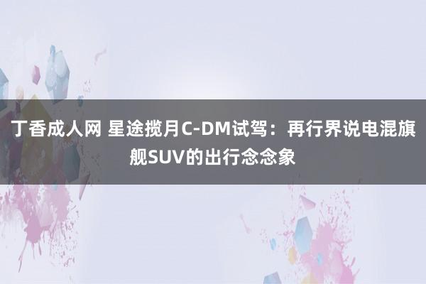丁香成人网 星途揽月C-DM试驾：再行界说电混旗舰SUV的出行念念象