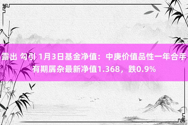 露出 勾引 1月3日基金净值：中庚价值品性一年合手有期羼杂最新净值1.368，跌0.9%