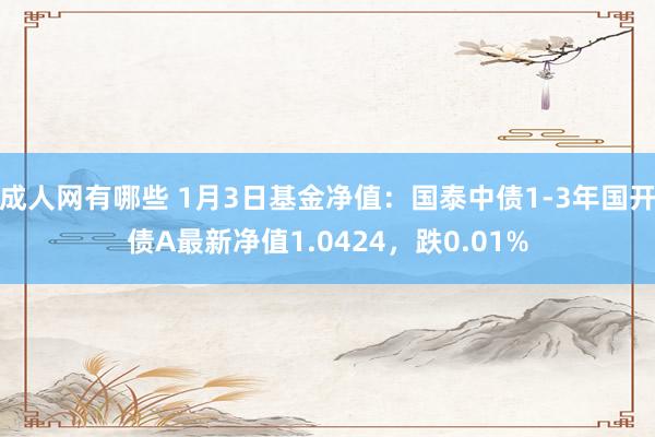 成人网有哪些 1月3日基金净值：国泰中债1-3年国开债A最新净值1.0424，跌0.01%