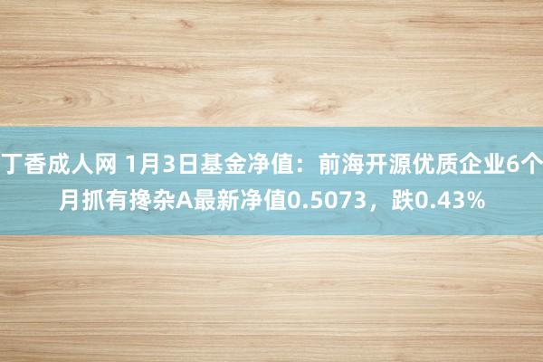 丁香成人网 1月3日基金净值：前海开源优质企业6个月抓有搀杂A最新净值0.5073，跌0.43%
