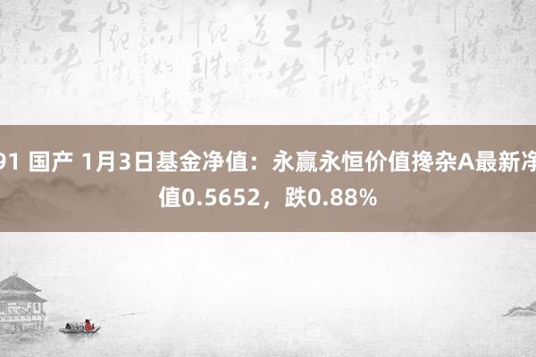 91 国产 1月3日基金净值：永赢永恒价值搀杂A最新净值0.5652，跌0.88%
