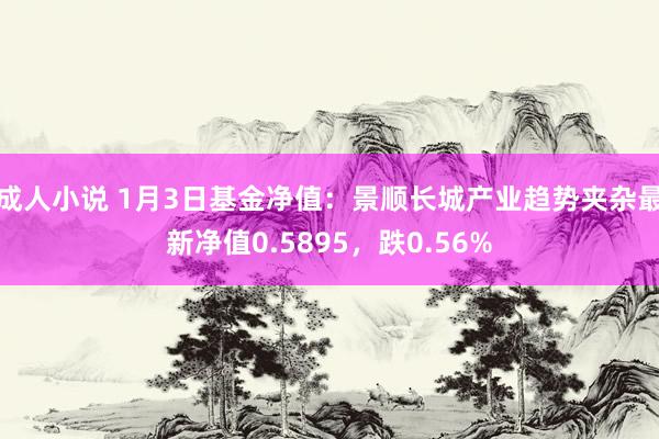成人小说 1月3日基金净值：景顺长城产业趋势夹杂最新净值0.5895，跌0.56%