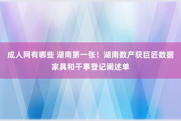 成人网有哪些 湖南第一张！湖南数产获巨匠数据家具和干事登记阐述单