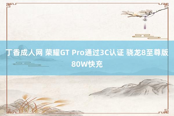丁香成人网 荣耀GT Pro通过3C认证 骁龙8至尊版80W快充
