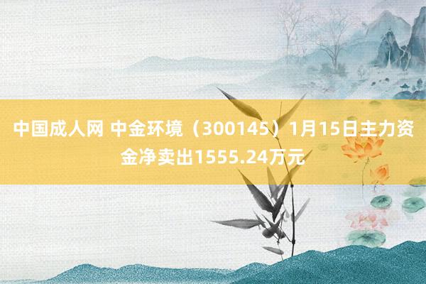 中国成人网 中金环境（300145）1月15日主力资金净卖出1555.24万元
